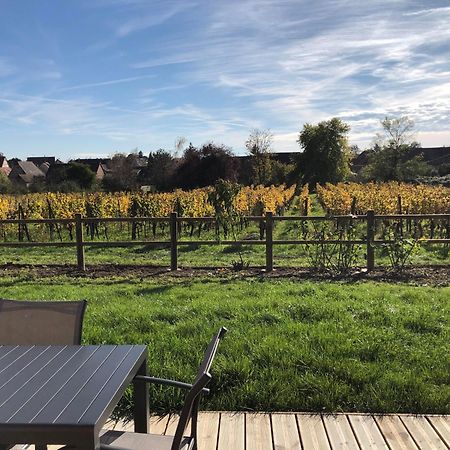 Domaine Rosfelder - Locations De Gite Et Cabane Insolite Gertwiller Ngoại thất bức ảnh
