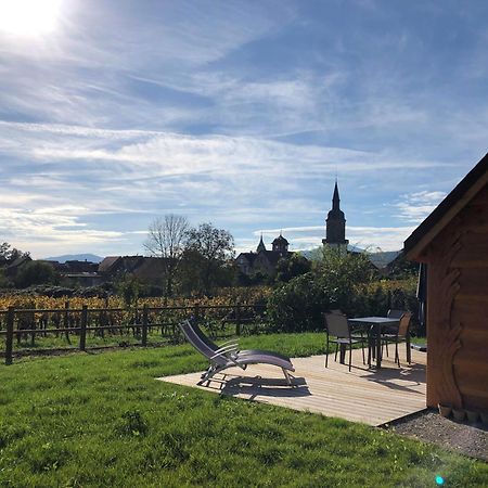 Domaine Rosfelder - Locations De Gite Et Cabane Insolite Gertwiller Ngoại thất bức ảnh