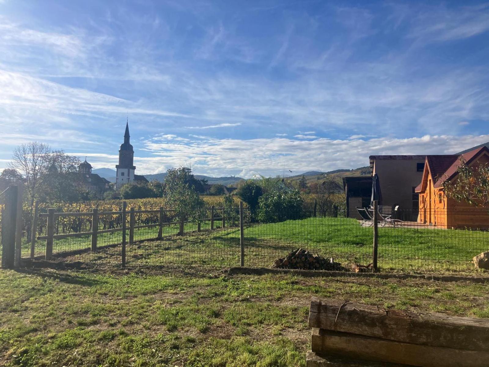 Domaine Rosfelder - Locations De Gite Et Cabane Insolite Gertwiller Ngoại thất bức ảnh